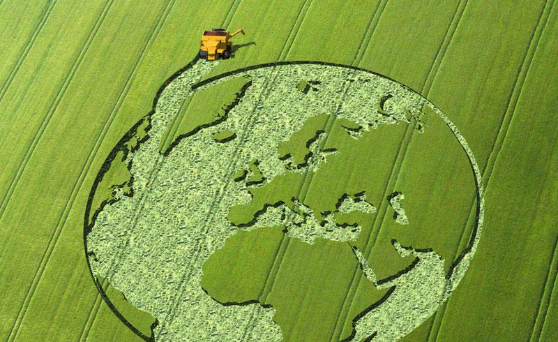 ISMEA. Finanziamento a tasso agevolato e contributo a fondo perduto in favore dell’autoimprenditorialità in agricoltura e del ricambio generazionale.