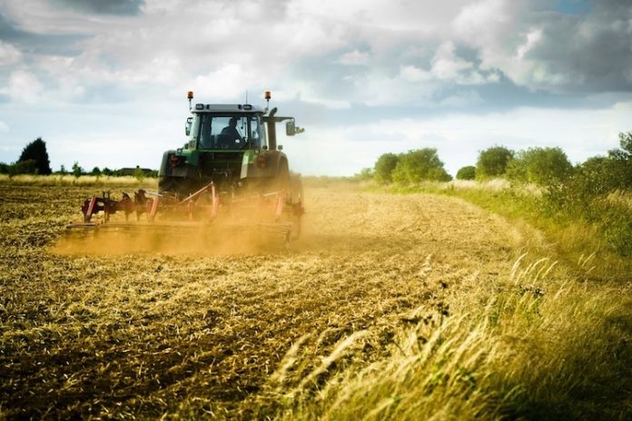 PSL 2014/2020 Misura 6.4.01. GAL Valli Marecchia e Conca. Contributo a fondo perduto fino al 50% per la creazione e lo sviluppo di agriturismi e fattorie didattiche.